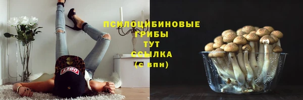 кристаллы Михайлов