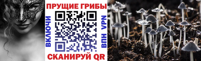 Псилоцибиновые грибы мухоморы  наркота  Болохово 